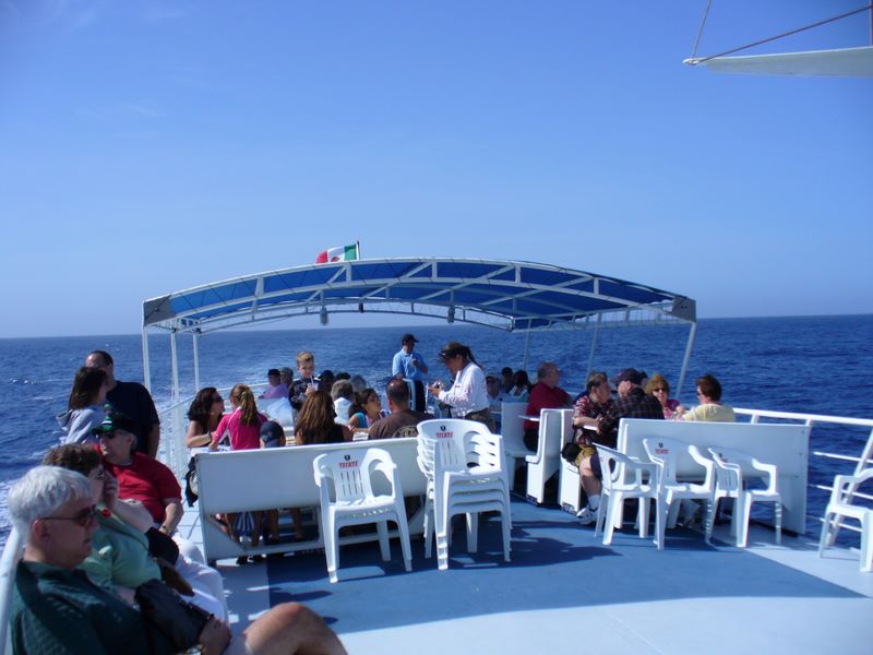 2006_03_29_mexico_1.jpg (large)