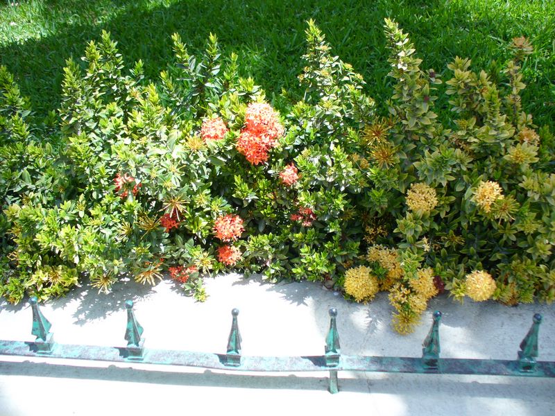 2006_03_29_mexico_13.jpg (large)