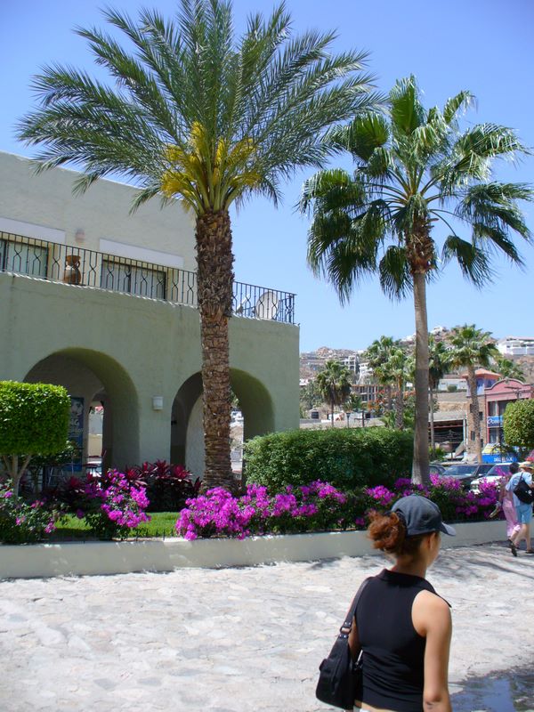 2006_03_29_mexico_14.jpg (large)