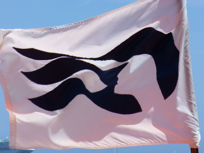 2006_03_29_mexico_26.jpg (large)