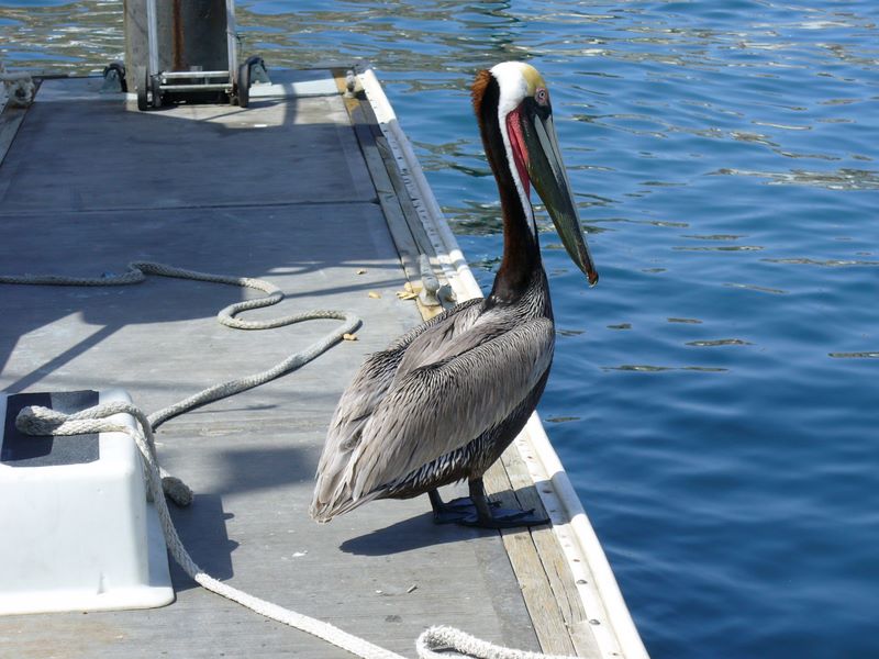 2006_03_29_mexico_6.jpg (large)