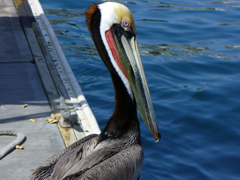 2006_03_29_mexico_7.jpg (large)