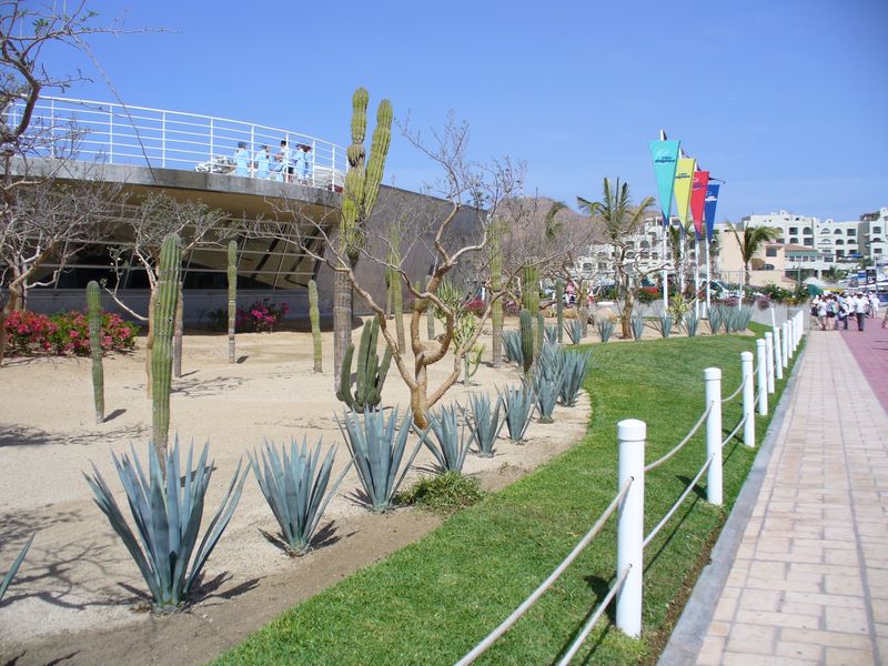 2006_03_29_mexico_8.jpg (large)