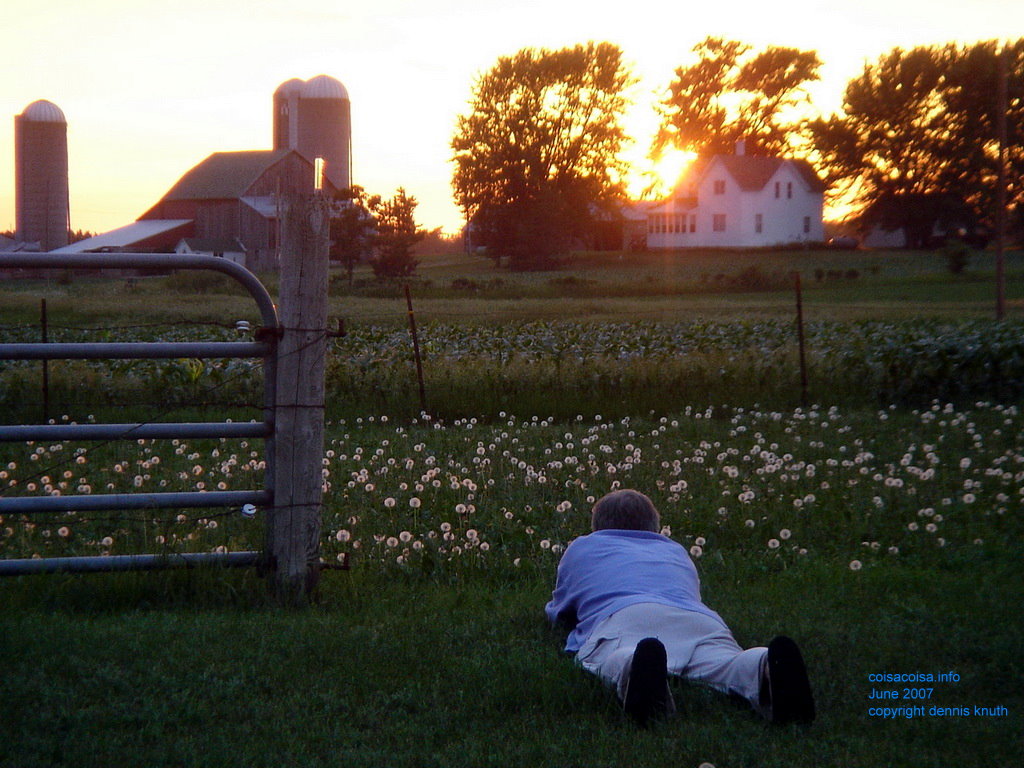 Dennis lays on his stomach
