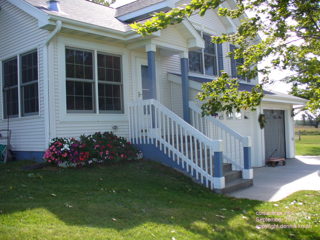 Impatiens blooming on the shady side