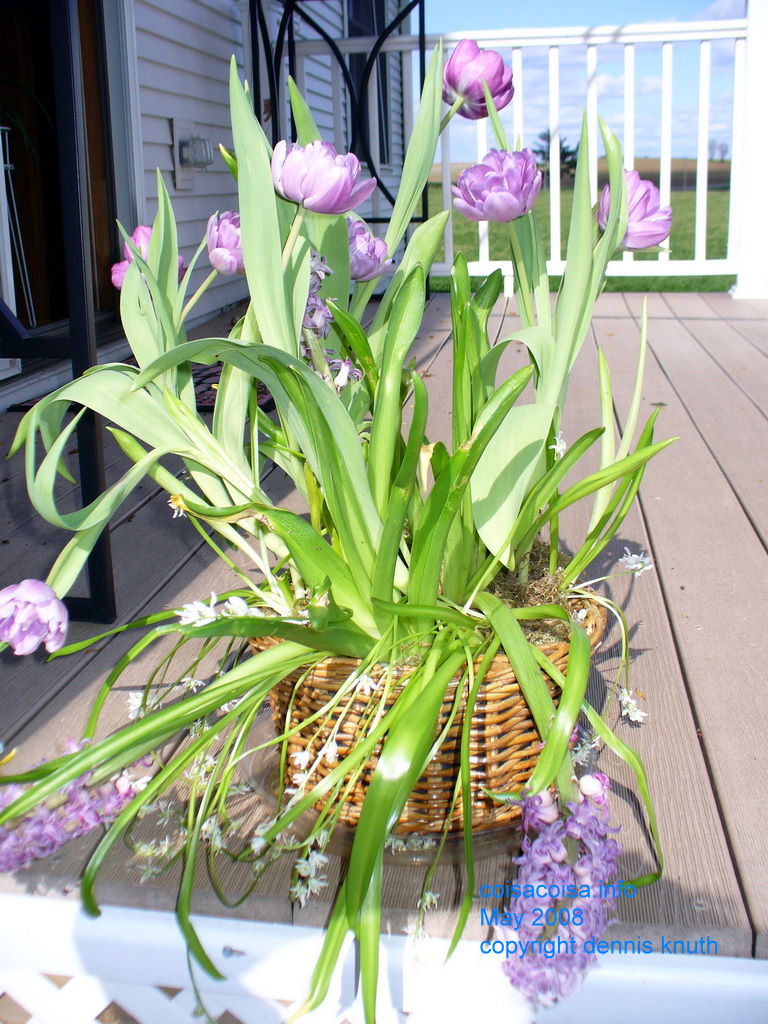 Bouquet would spruce up after gentle care