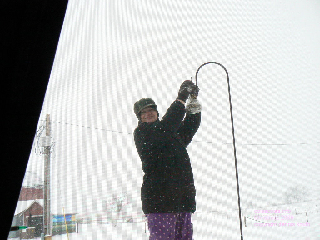 Feeding the birds while it snows