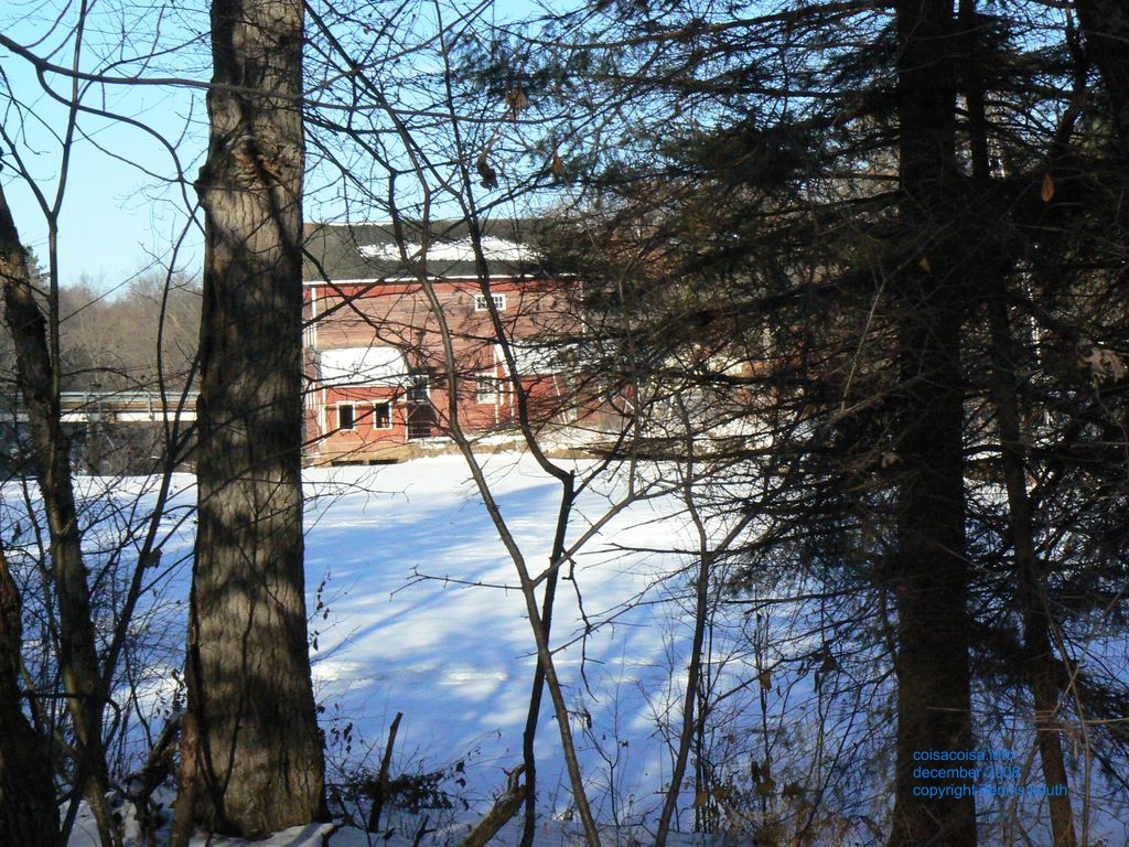 Dells Mill through the woods