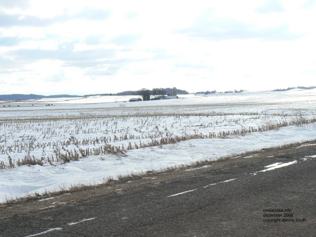 2008_12_29_farm_scenes_1.jpg (large)