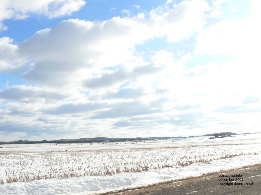 2008_12_29_farm_scenes_2.jpg (large)