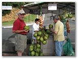 Nut Vending Cart