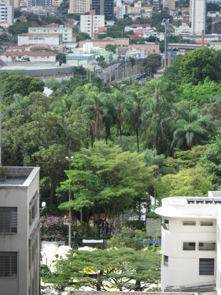 A view out the window from Janine's apartment