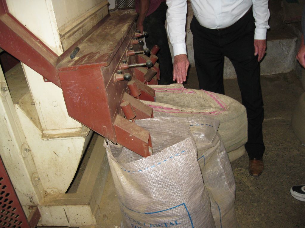 2009_07_15_coffee_farm_15.jpg (large)