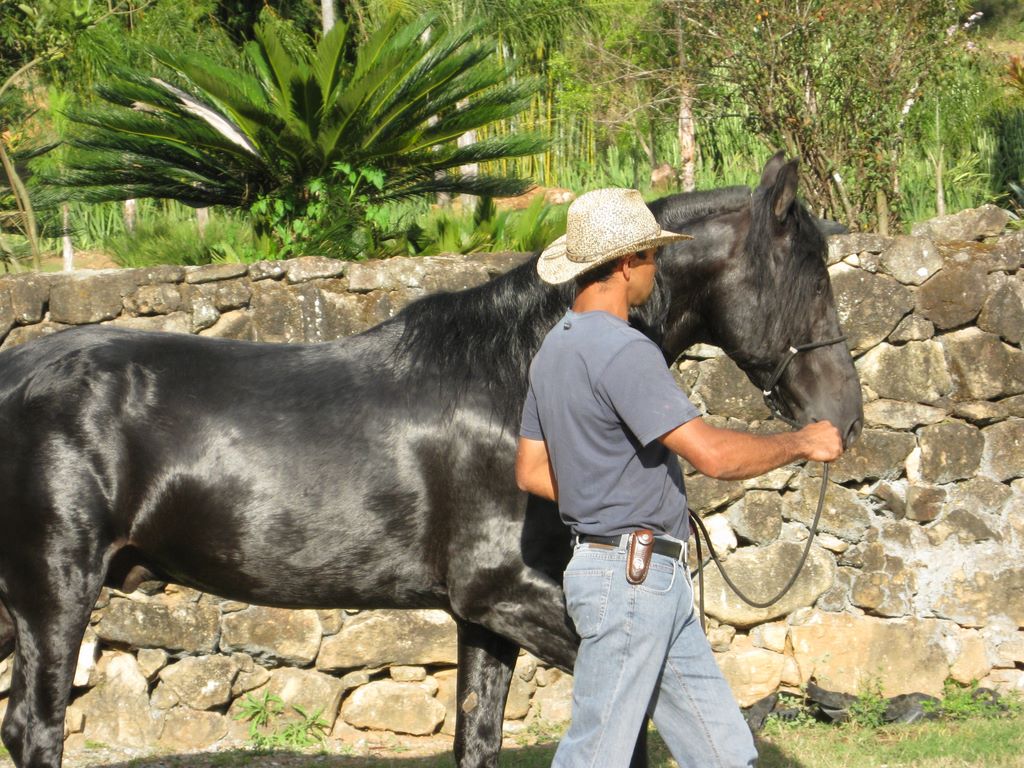 2009_07_15_coffee_farm_18.jpg (large)