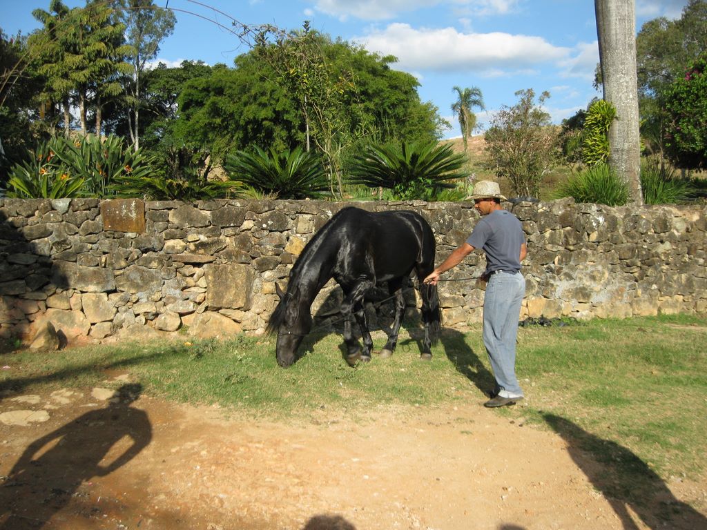 2009_07_15_coffee_farm_22.jpg (large)
