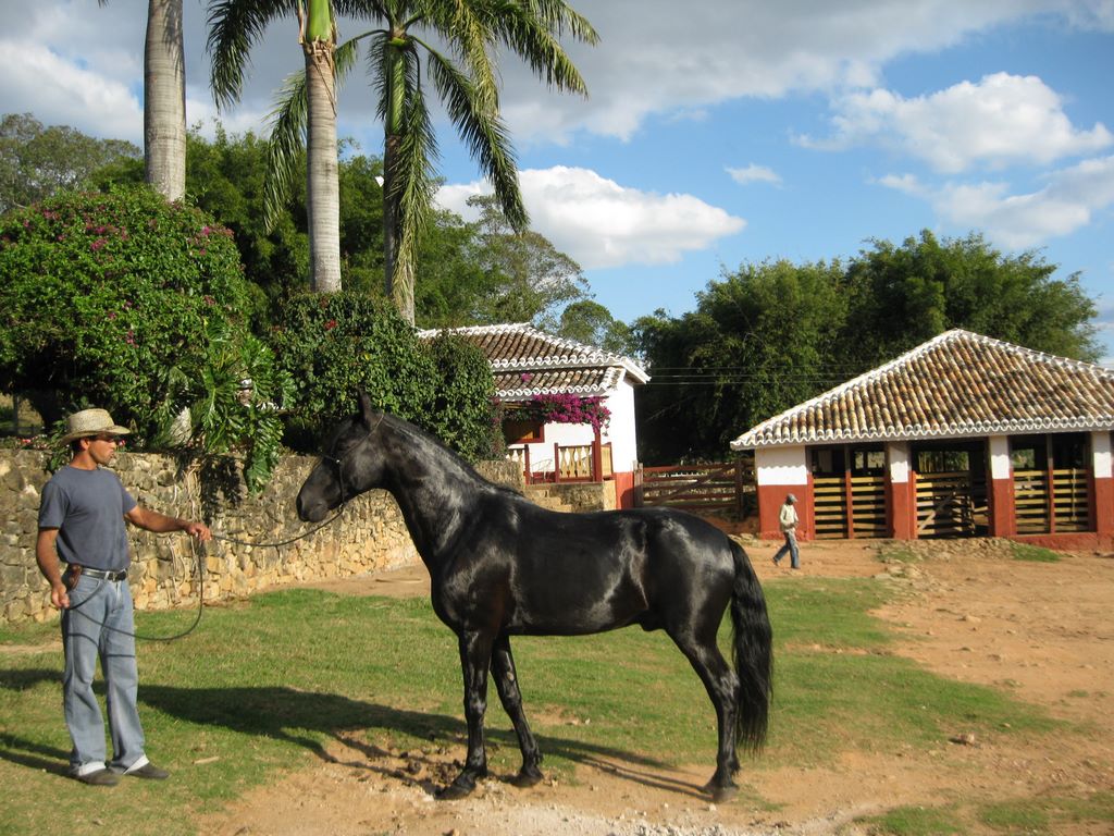 2009_07_15_coffee_farm_23.jpg (large)