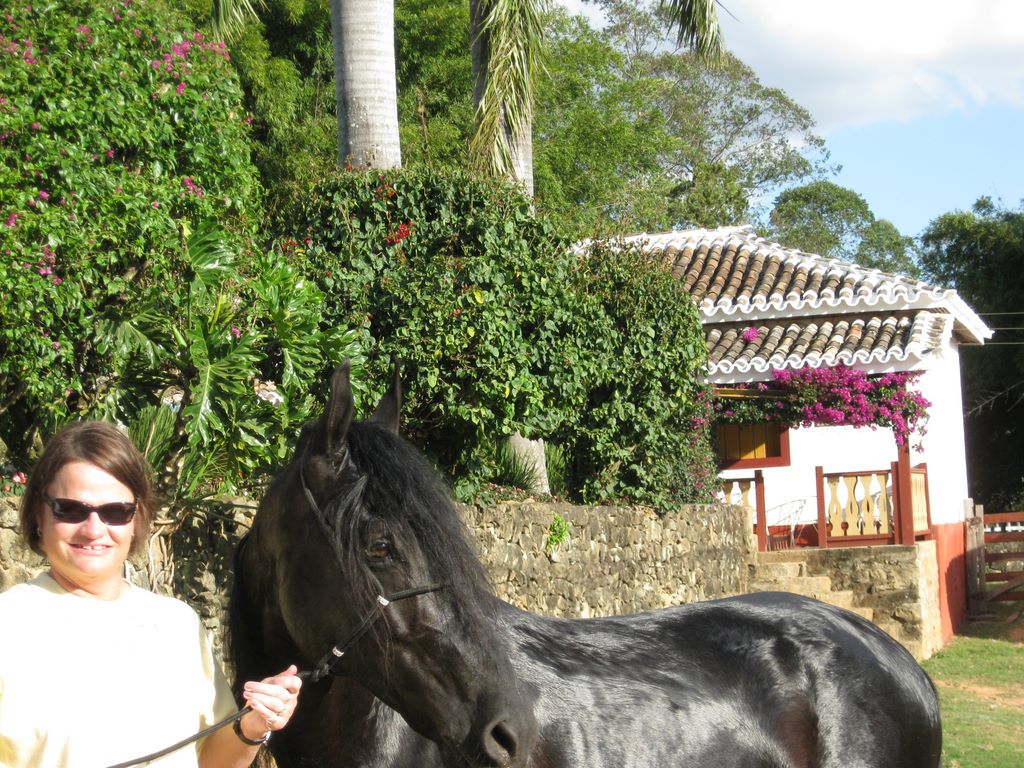 2009_07_15_coffee_farm_26.jpg (large)