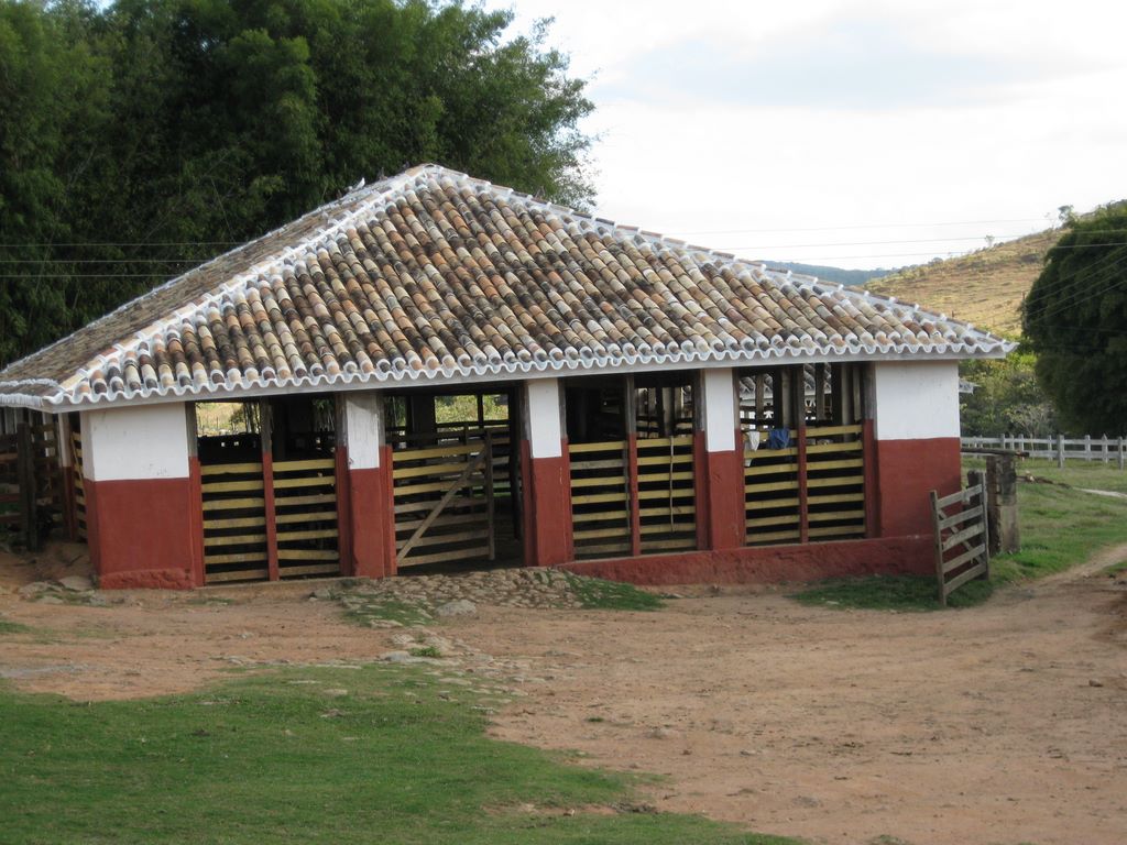 2009_07_15_coffee_farm_28.jpg (large)