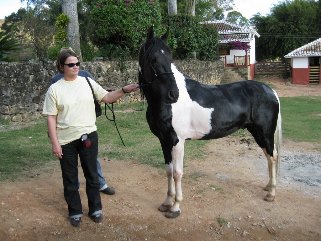 2009_07_15_coffee_farm_30.jpg (large)