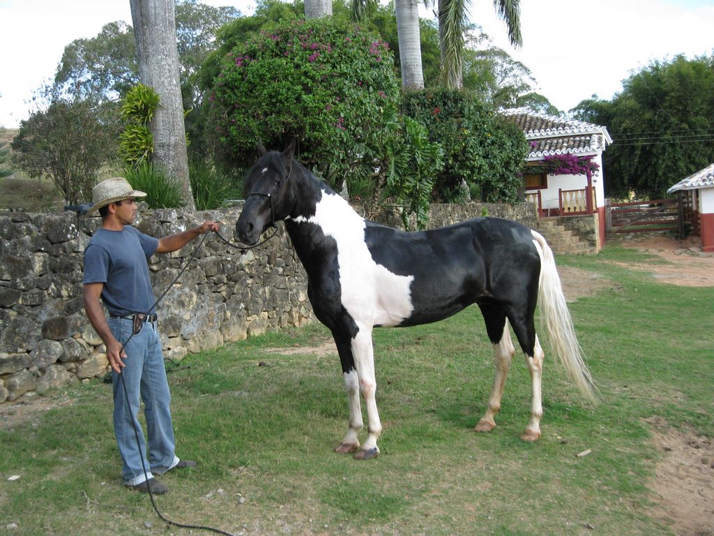 2009_07_15_coffee_farm_31.jpg (large)