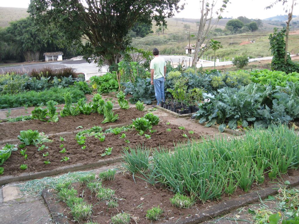 2009_07_15_coffee_farm_44.jpg (large)