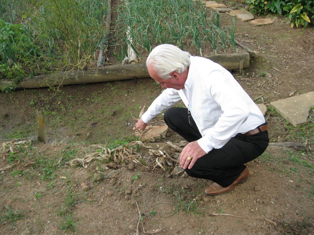 Checking the root crops on a Brazilian Garden and ranch