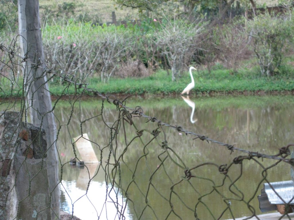 2009_07_15_coffee_farm_48.jpg (large)