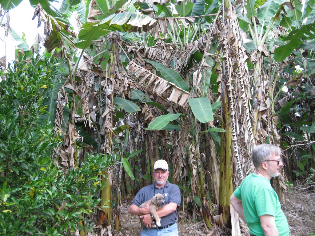 2009_07_15_coffee_farm_52.jpg (large)