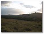 Vista of hills and coffee plants