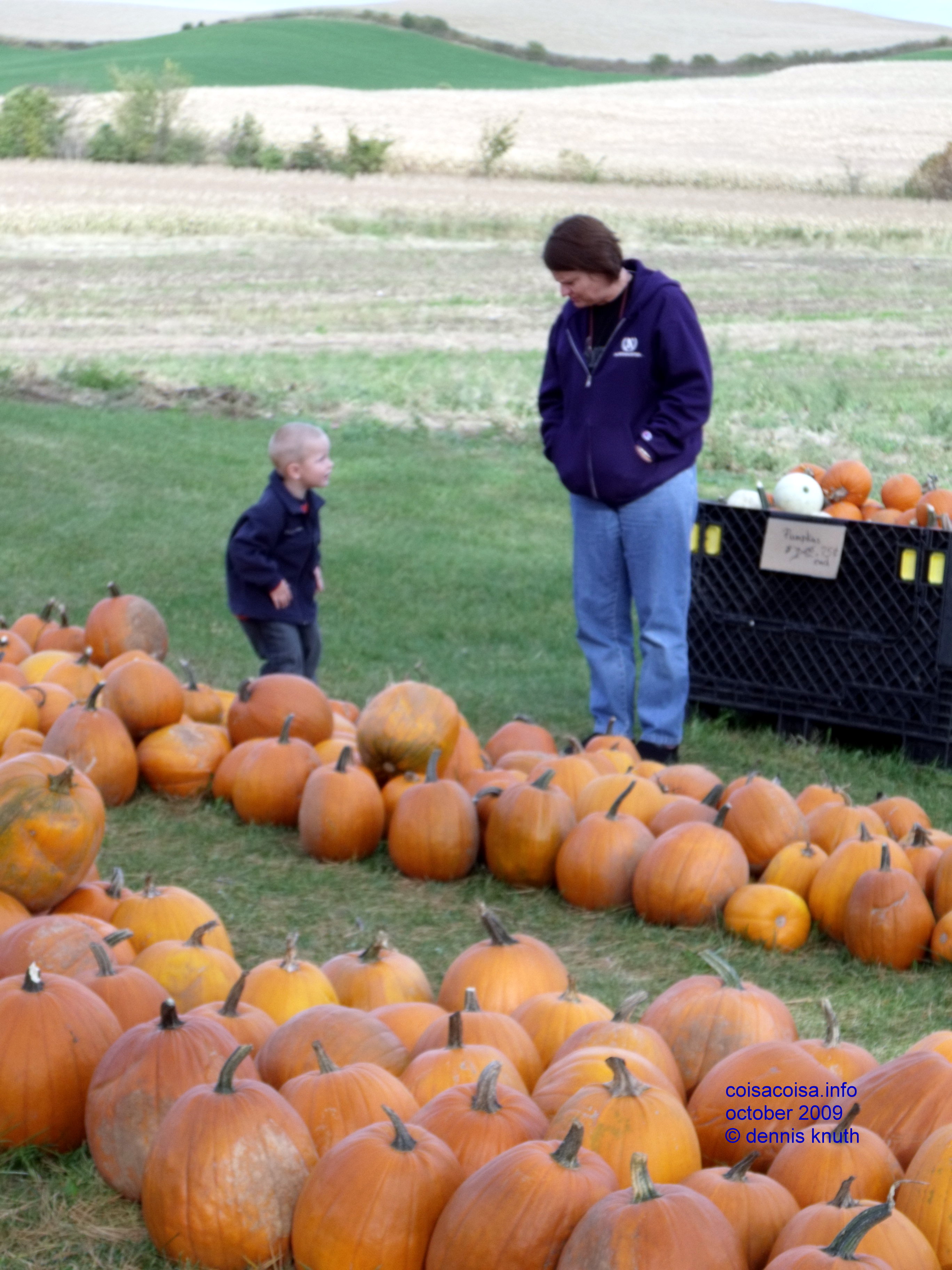 Choose the pumpkin Jared