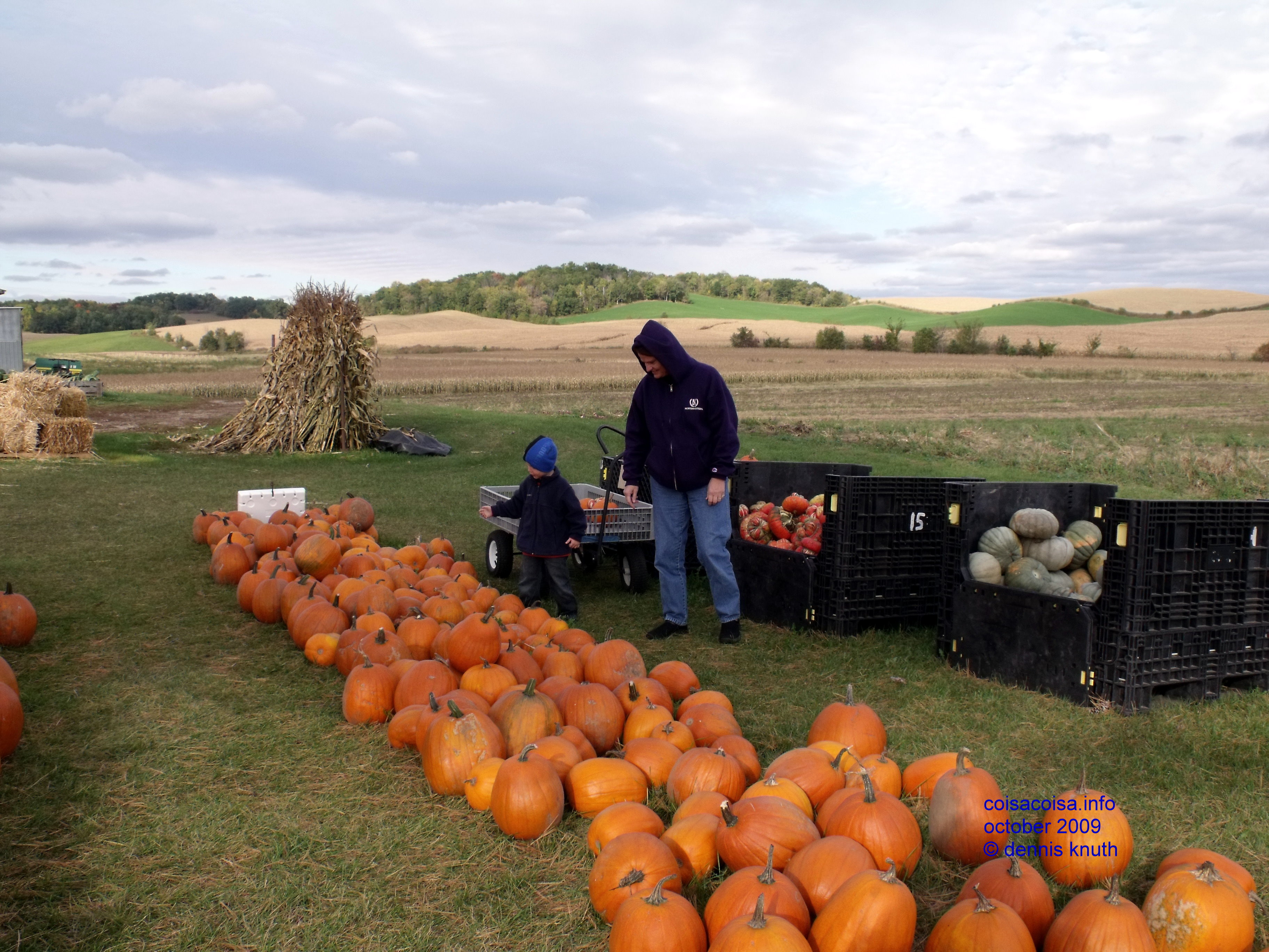 Perfect pumpkin picking with Sherri and Jared