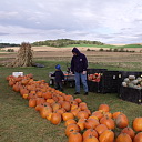 Perfect pumpkin picking with Sherri and Jared