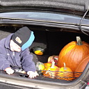 Pumpkin Patch and Halloween