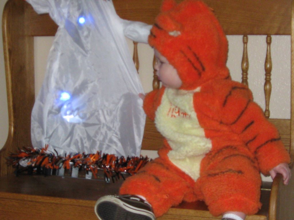 Halloween Candy Bag for Tigger