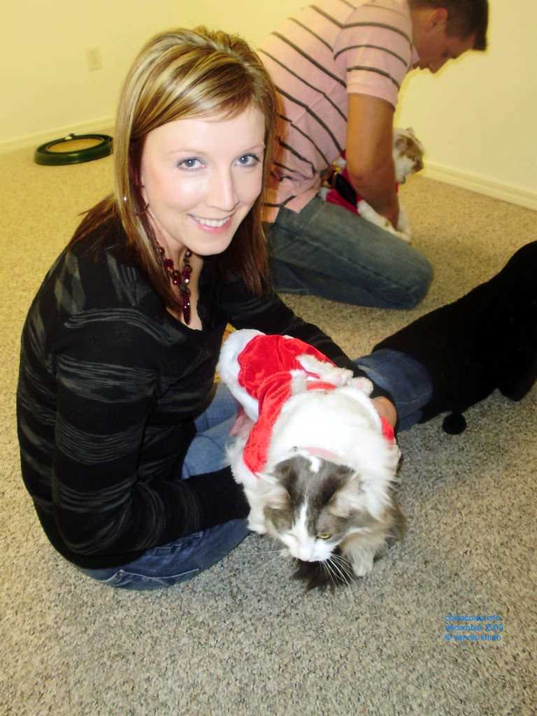 2009_12_24_xmas_cats_005.jpg (large)