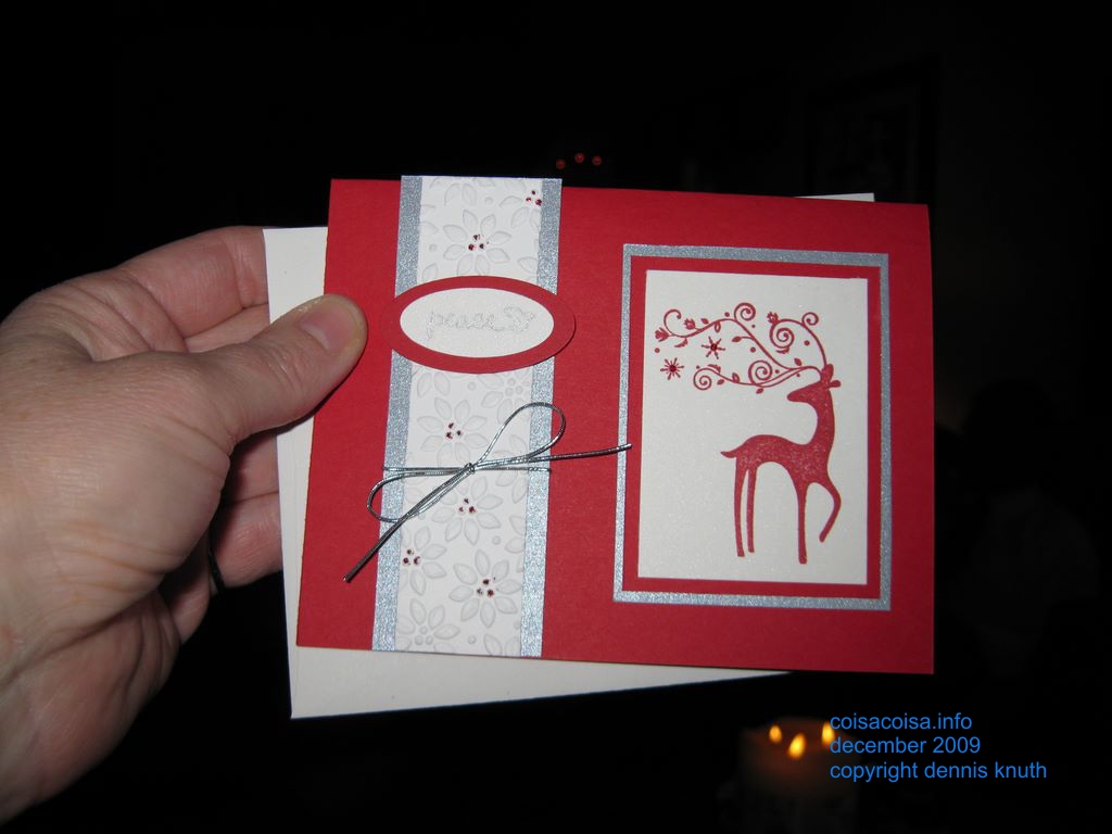 2009_12_25_sherri_xmas_002.jpg (large)