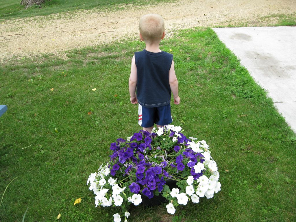 2009_06_24_jared_and_flowers_1.jpg (large)