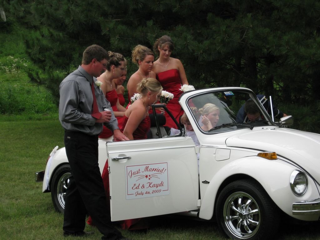 Entering the Fatbug Beetle