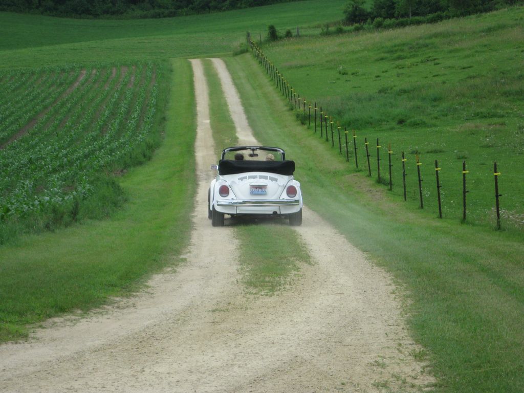 On the way with the Fatbug