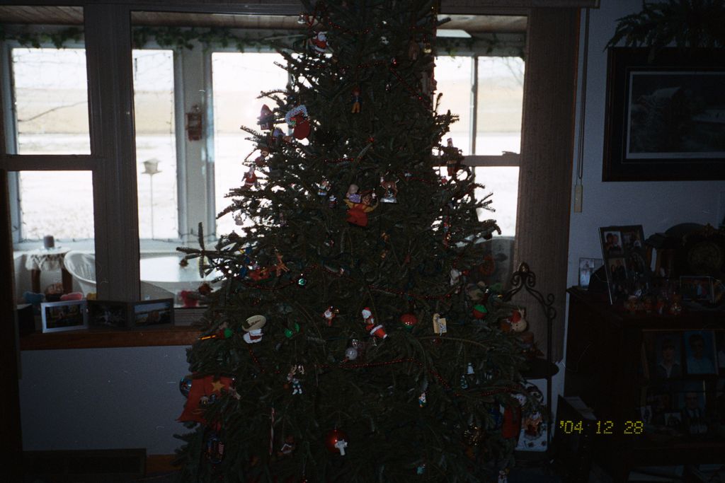 Last Xmas tree in the old farm house