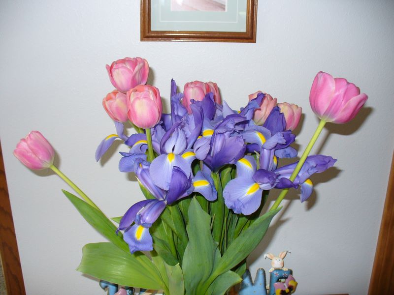 Tulip Boquet