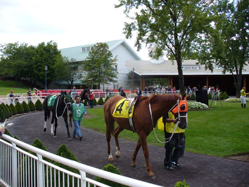 2007_09_15_s_and_g_chicago11.jpg (large)