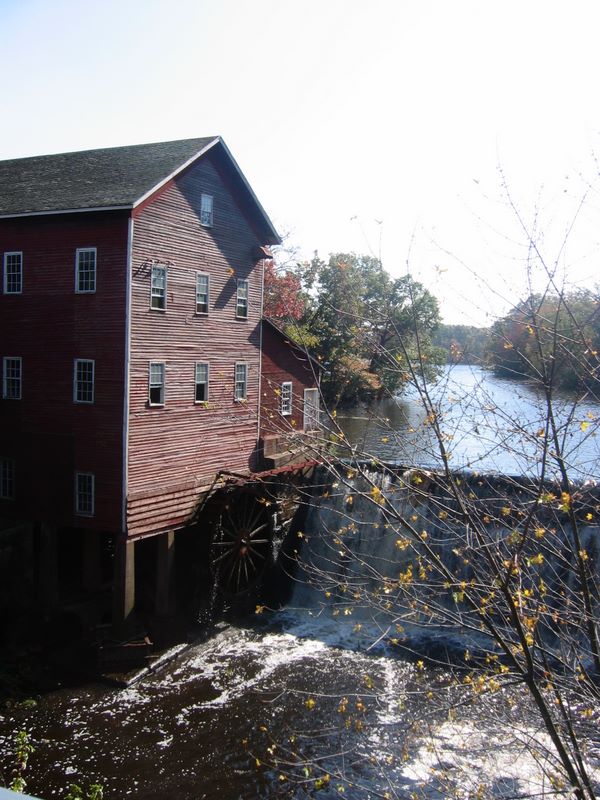 Autumn leaves stripped