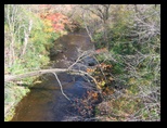 Bridge Creek from the Bridge