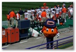 Orange Mascot