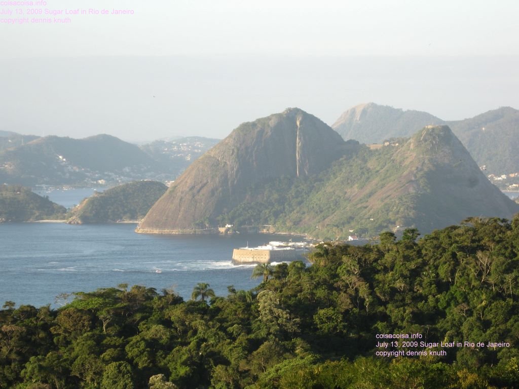 View ascending in the cable car