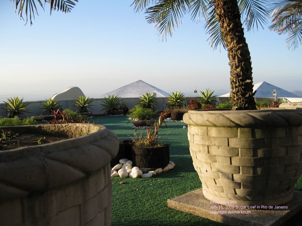 Sugar Loaf landscape