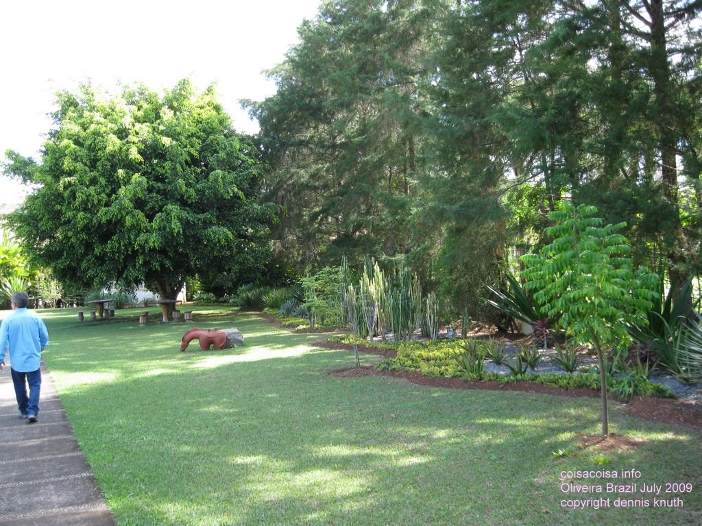 2009_07_15_oliveira_marialena_1.jpg (large)