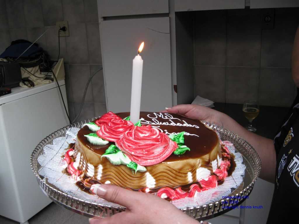 2009_07_18_a_partyday_55.jpg (large)