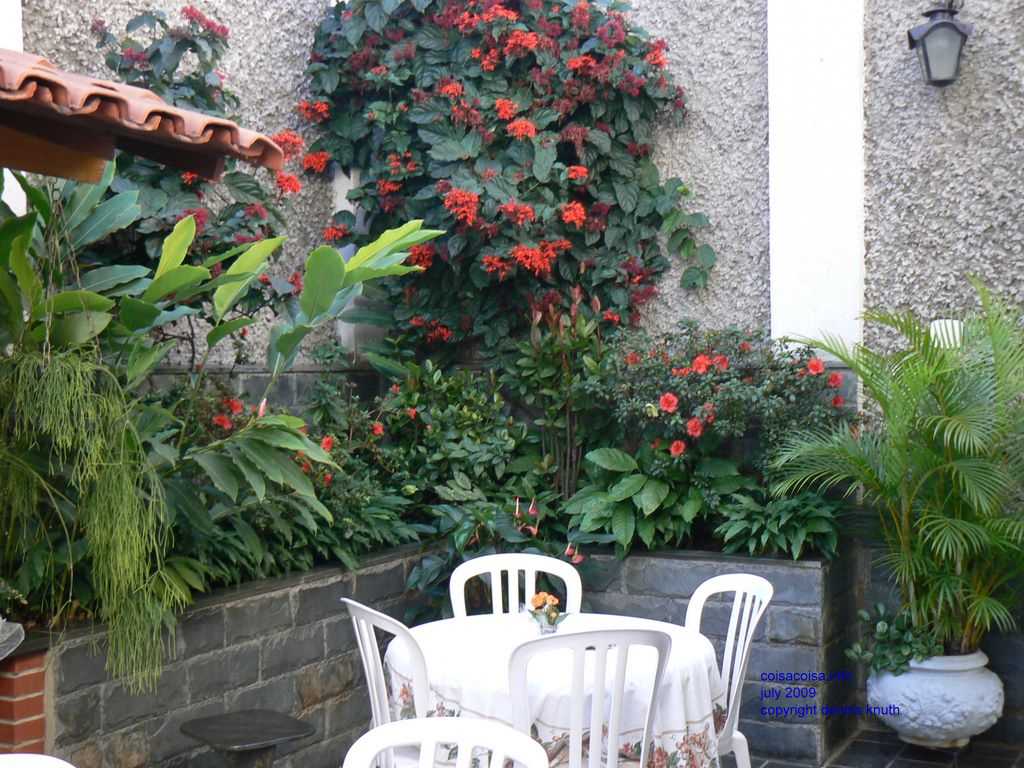 2009_07_18_a_partyday_65.jpg (large)